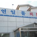 포항의 대표 물횟집 3종세트..^^:| 이미지