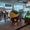 공항관광안내소 | 도쿠시마공항 입국 출국 실제 이용후기