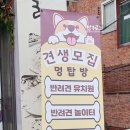 멍탑방 이미지