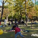 평화3(잔디광장) 이미지