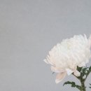 드림장례서비스 - 동구 옻밭3길 77 | 드림장례서비스
