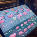 부천한우세상 | 부천시청역 한우맛집 한우집투뿔사위 부천직영점 다녀온 솔직후기 재방문의사 200%