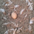 새온농원 이미지