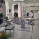 쿠지헤어 이미지