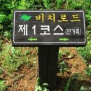 올레 비치 이미지