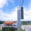 수정골맑은한우식당 이미지