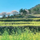 두모마을야영장 이미지