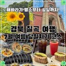 평화3리 | 칠곡 가볼만한곳 | 7월 여름 여행 당일치기 코스 추천 (해바라기 명소/가실성당/김밥맛집/카페 총정리)