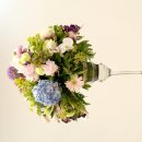 M백화점 이미지