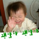 술꾼 Daum카페
