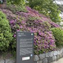 박신 | 경포호수 산책과 경포대