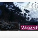 송송골느림보협동조합 | 송송골느림보협동조합 체험장공사을하다.