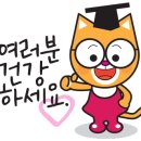 서린약국 이미지