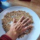 중평마을회관 이미지