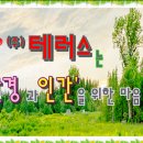(주)테러스 네이버블로그