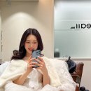 비올레브