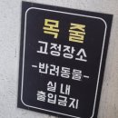 (주)서부티엔디주유소 | [김포 맛집/카페] 미국 서부 감성 뿜뿜! 대형 카페 '갤런55' 방문기
