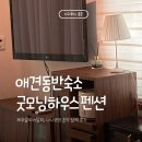 하늘테라스관광펜션 | 서귀포 애견동반 숙소 굿모닝하우스펜션 | 1박 3만원대 한달살이 후기