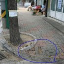명서로-1 Daum카페