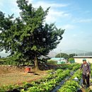 주형농장 이미지