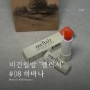 하바나 | 비건 립밤 멜릭서 08하바나 발색 후기