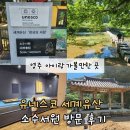 영주 가볼만한곳 추천, 유네스코 세계유산 소수서원 입장료 및 방문 후기