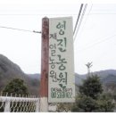 영진농원 이미지