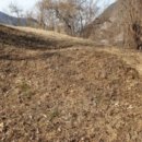 단양군단양읍노동보건진료소 이미지