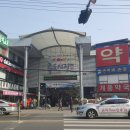 죽도시장 이미지