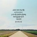 11월의비상영어학원 | 10월 마지막&11월 첫째주_직장인 영어학원 후기