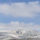 형제목장 이미지