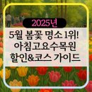 마당이수목원 | 아침고요수목원 할인·코스 총정리 – 입장권 할인·사진명소·근처 카페까지!