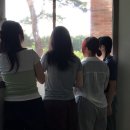 브릭포레스트 이미지