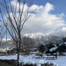 수원-0131 이미지