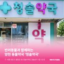 청솔약국 네이버블로그