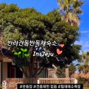 똘내미집