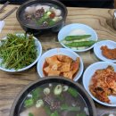 합천돼지국밥