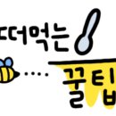 피스코이나즈카 이미지