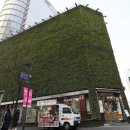 명동종합화장품 이미지