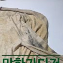 망한 옷 살려주는 기적의 세탁소!이런 세탁소는 널리 알려야 합니다.