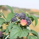 해리농협상하지점 이미지