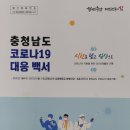 백서 이미지