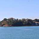 대도유료낚시터 이미지