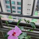 성가정유치원 이미지