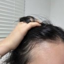 다온뷰티라인 이미지