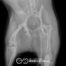 동그라미 동물의료센터 이미지