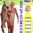 존경하는 마음으로 기다립니다~인체의 신비 이미지