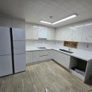 부평 페트 이미지