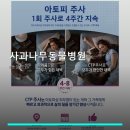 사과나무동물병원