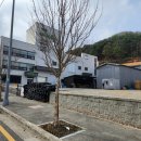 (주)사모스 이미지